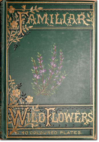 HULME. Familiar Wild Flowers. 1900 ca.